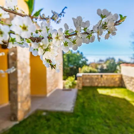 Villa Mareli - Magnifica Con Piscina
